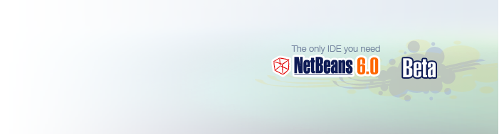 NetBeans 6.0 beta